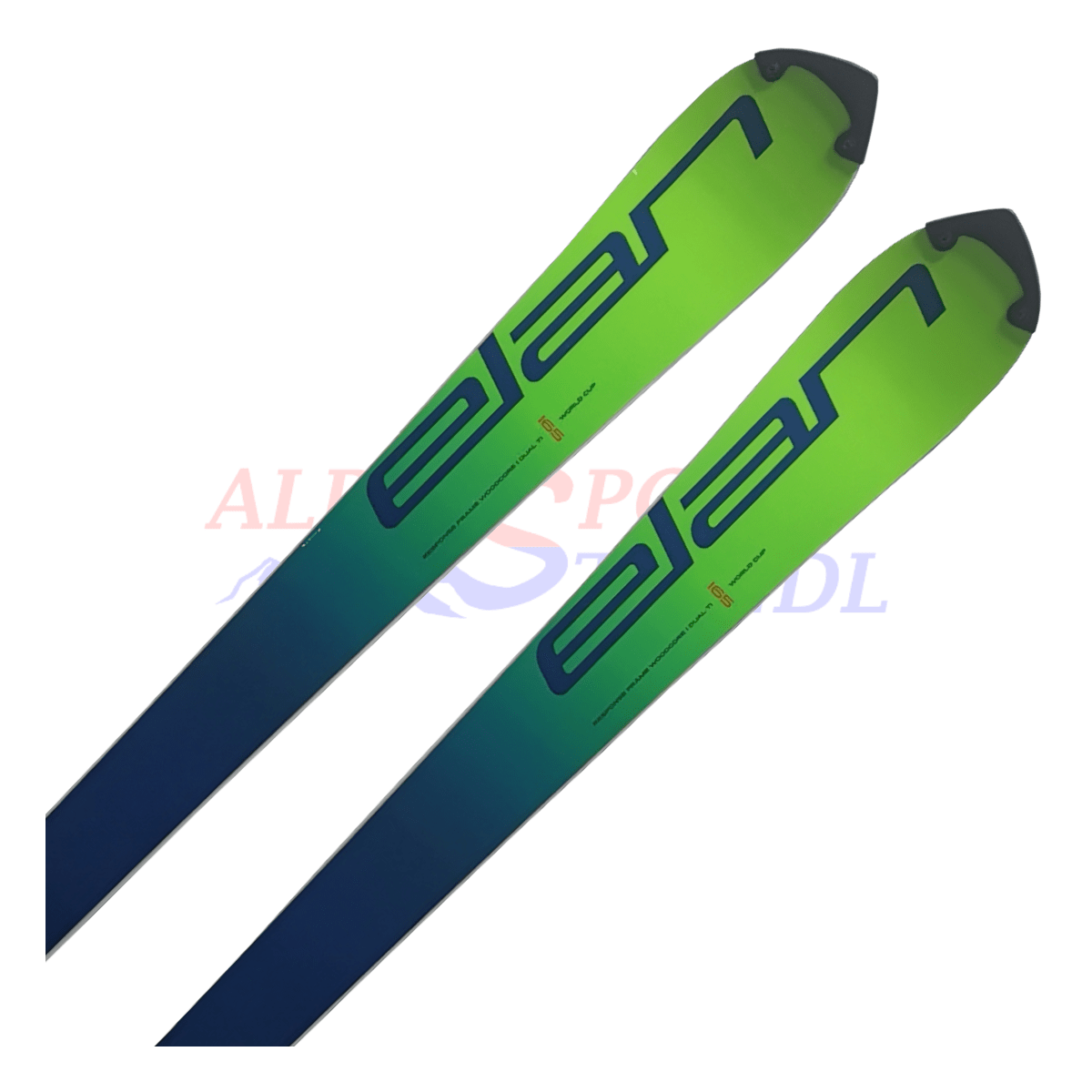 Elan SLX WC FIS flat aus dem Jahre 2019/20 in der Farbe Grün, Ansicht des oberen Teils des Skis