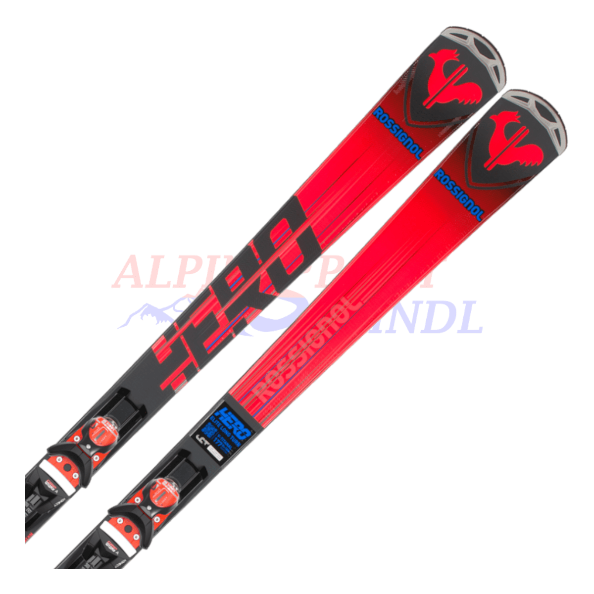 Rossignol Hero Elite LT TI aus dem Jahre 2023/24 in der Farbe Rot-Schwarz, Ansicht des oberen Teils des Skis